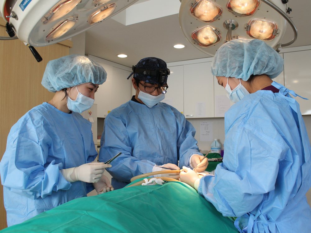 Inside Forever Plastic Surgery & Dermatology Gangnam